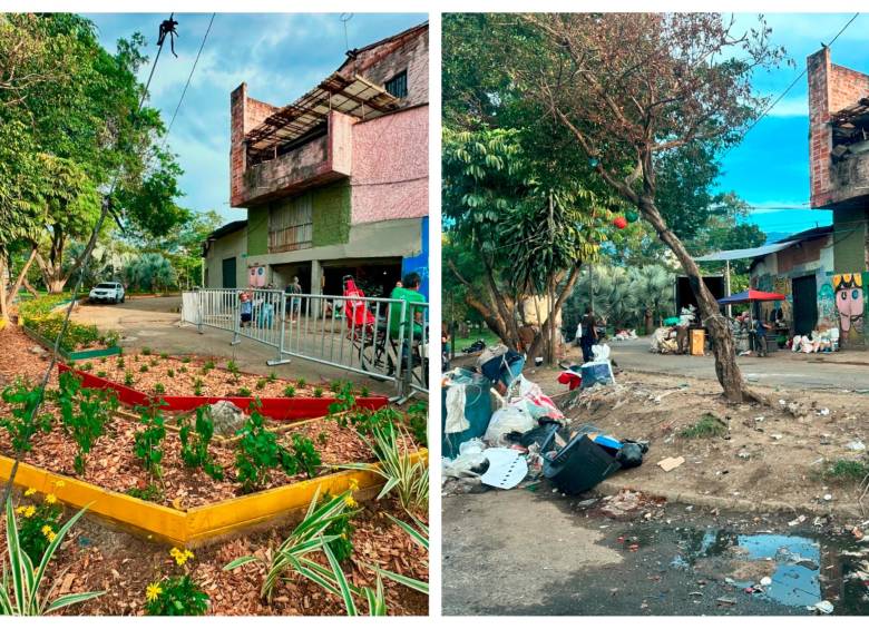 CON MÁS DE 2.500 PLANTAS, LE CAMBIARON LA PINTA A UNA ZONA CRÍTICA DE ARRABAL, EN MEDELLÍN